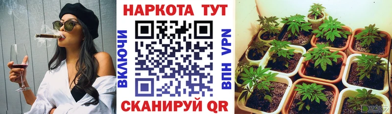 Как найти наркотики Мыски Alpha PVP  Cocaine  ГАШ  Меф  Галлюциногенные грибы  Конопля 