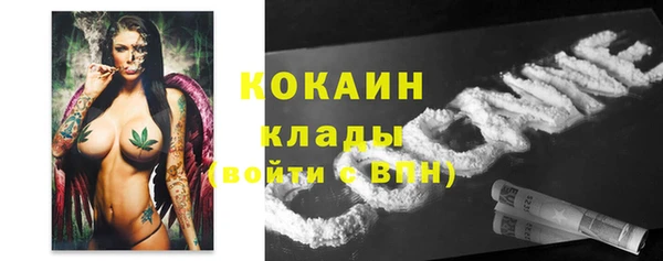 прущие грибы Верхнеуральск