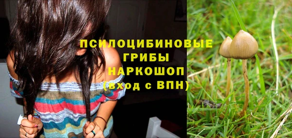 трава Верхний Тагил
