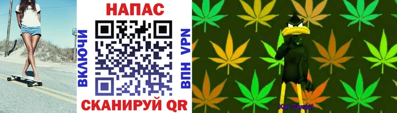 Бошки Шишки семена  darknet формула  Мыски 